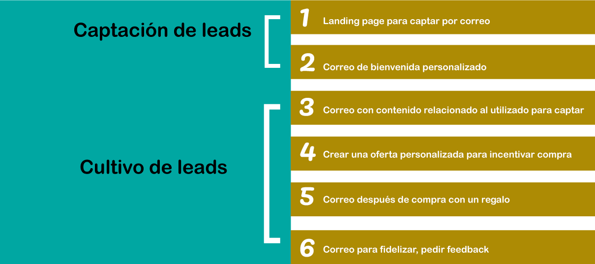 Ejemplo de cultivo de leads